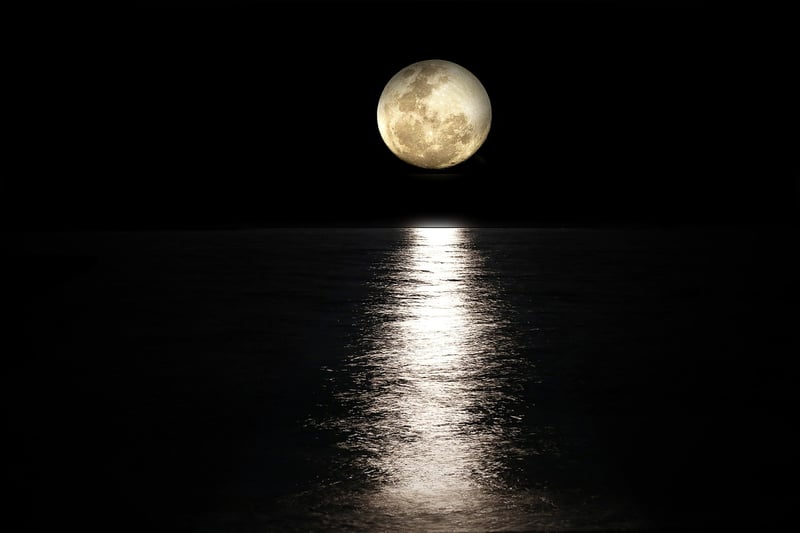 Moonbeam Halls