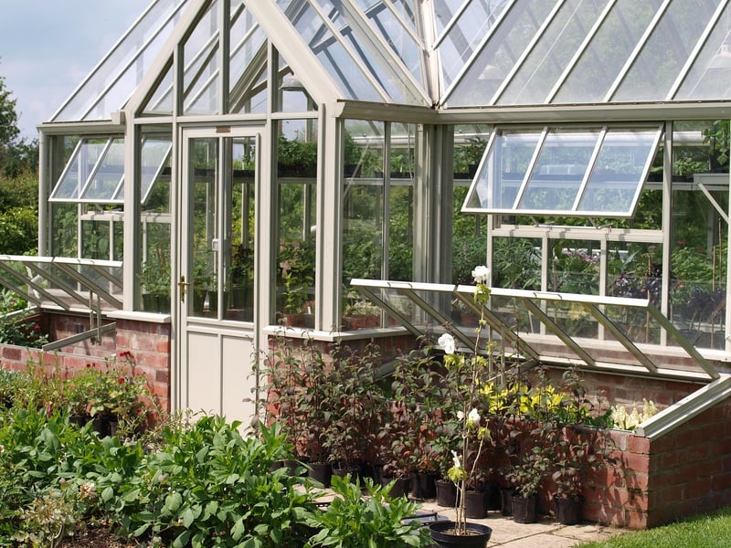 Solarium Sanctuary