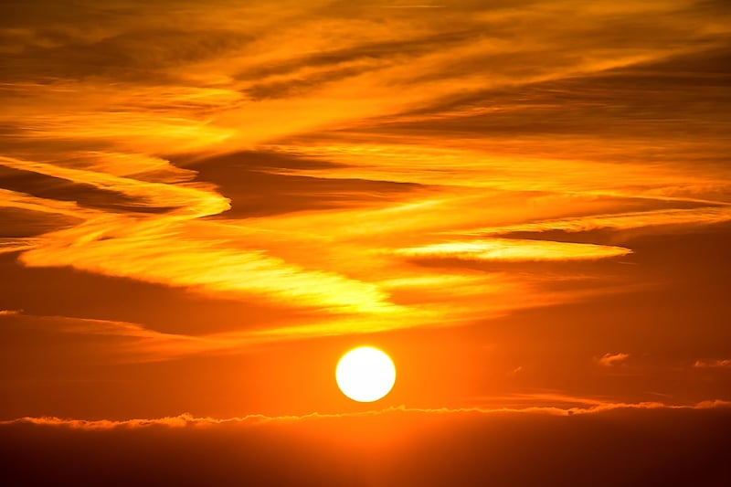 Sun Bedding